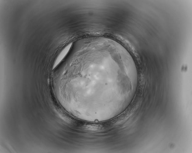 X0000099230069200805081607