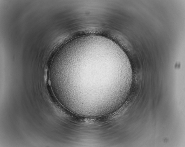 X0000099230070200805081607