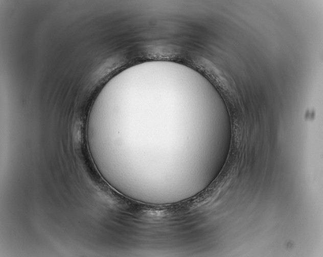 X0000099230071200805081607