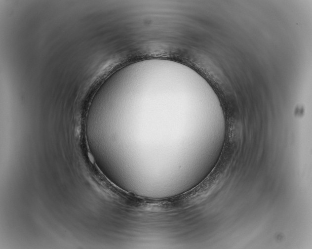 X0000099230072200805081607