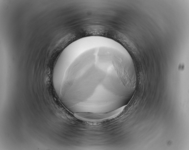 X0000099230073200805081607