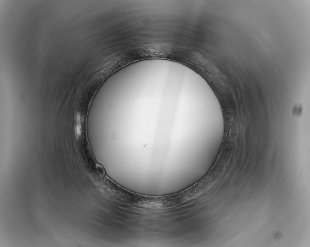 X0000099230075200805081607