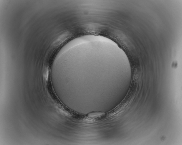 X0000099230076200805081607