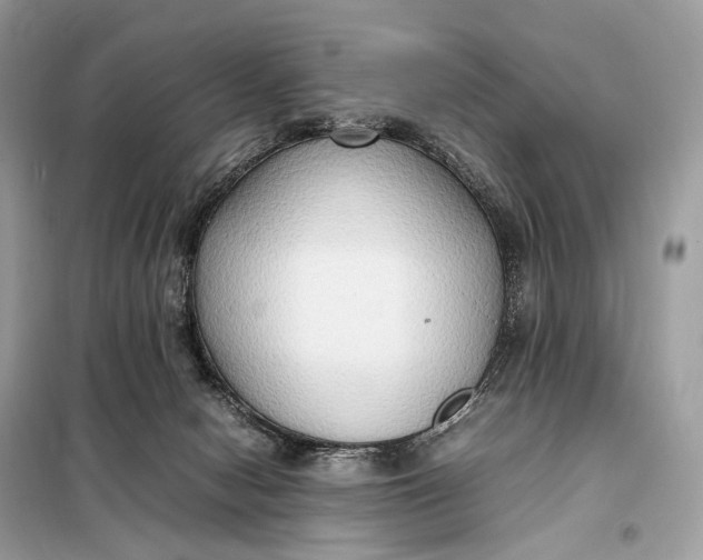 X0000099230078200805081607