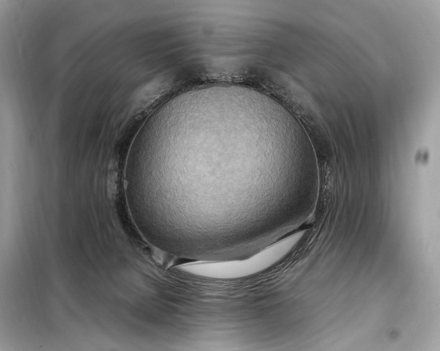 X0000099230080200805081607