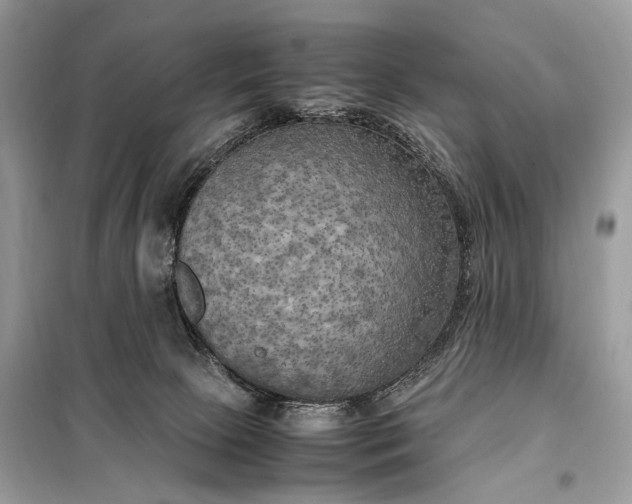 X0000099230081200805081607