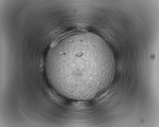 X0000099230082200805081607