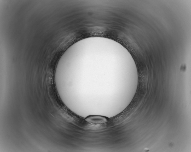 X0000099230083200805081607