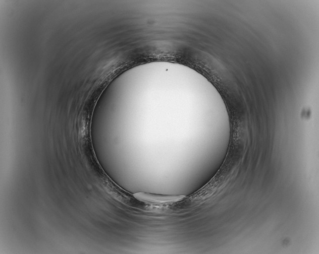 X0000099230084200805081607