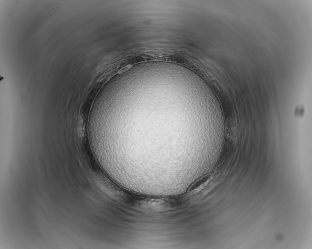 X0000099230086200805081607