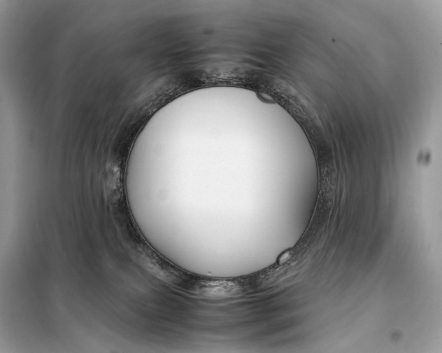 X0000099230087200805081608