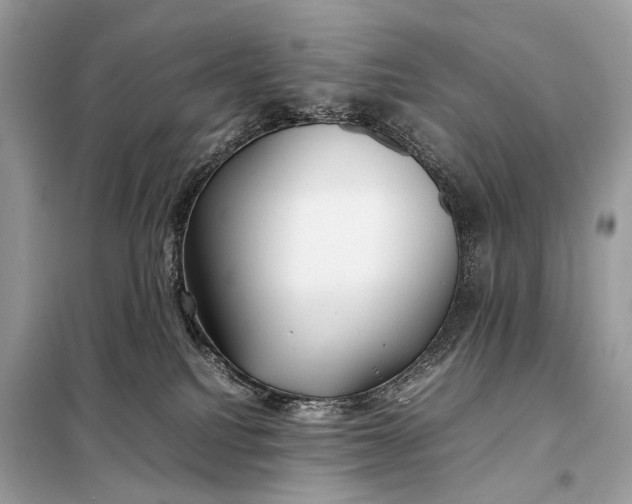 X0000099230088200805081608