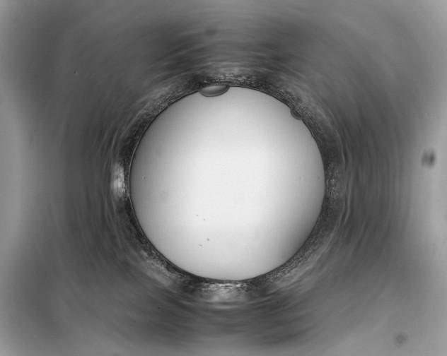 X0000099230089200805081608