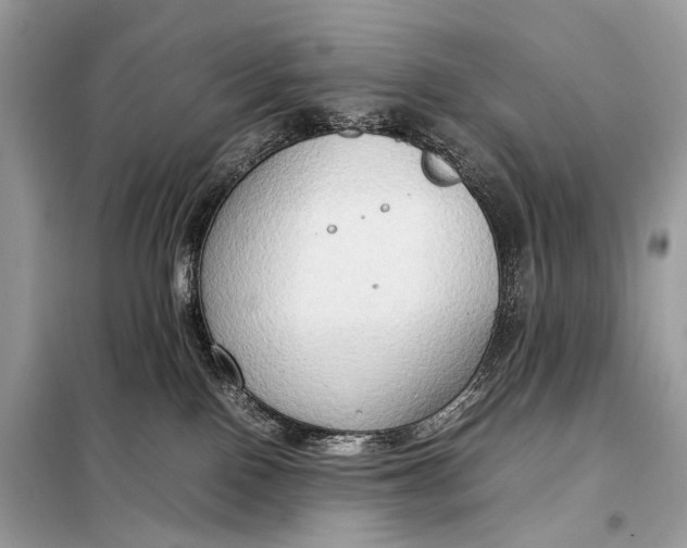 X0000099230090200805081608