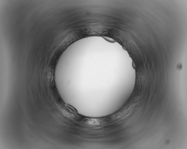 X0000099230091200805081608