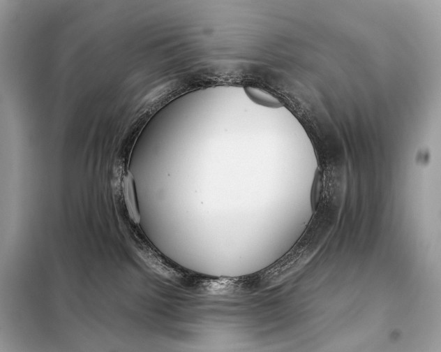 X0000099230092200805081608