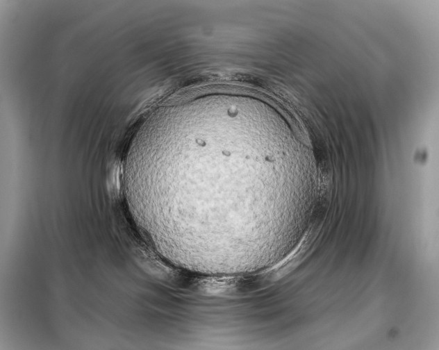 X0000099230094200805081608