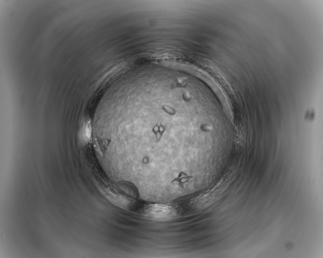 X0000099230095200805081608