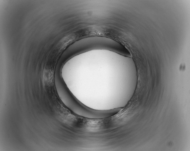 X0000099230096200805081608