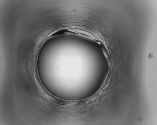 X0000099230097200805081607