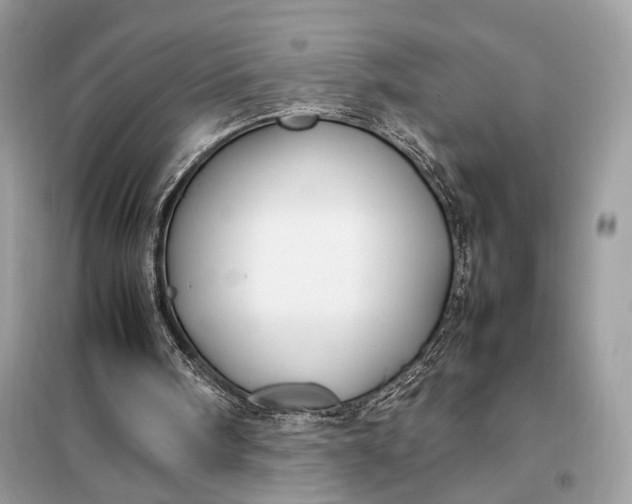 X0000099230098200805081607