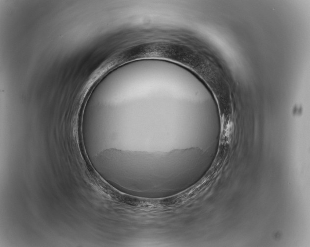 X0000099230099200805081607