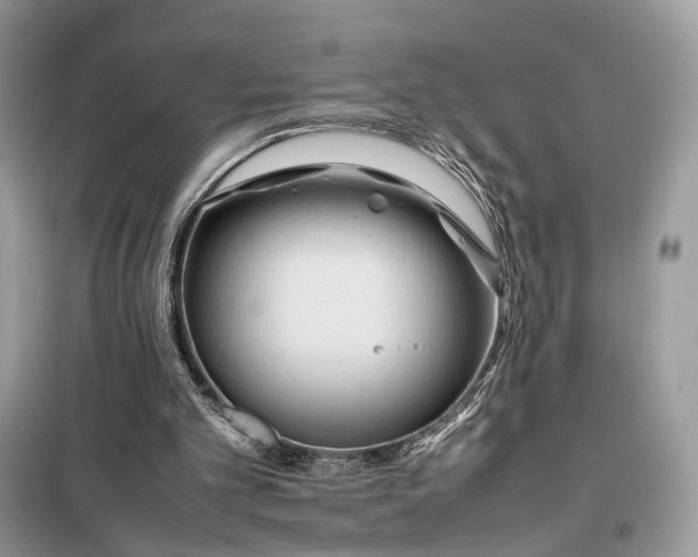 X0000099230101200805081607