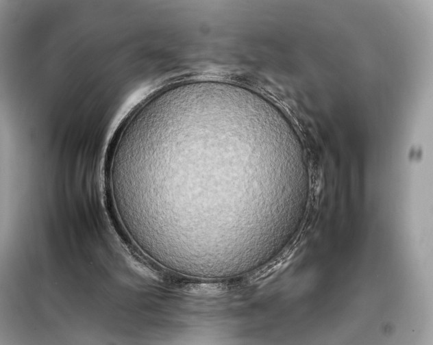 X0000099230102200805081607