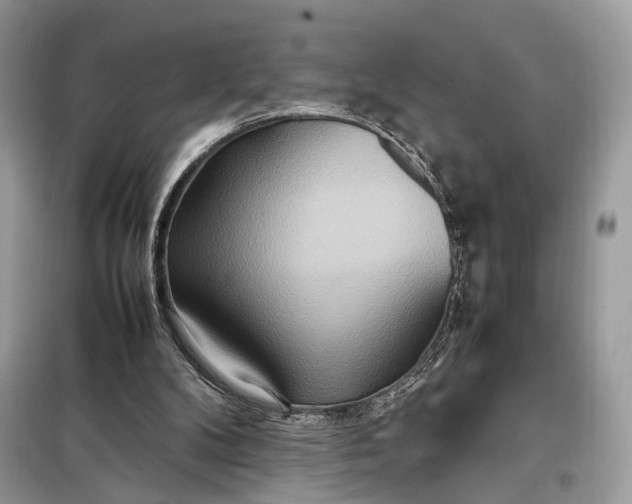 X0000099230104200805081607