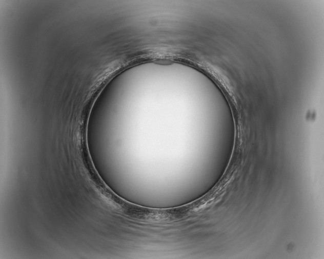 X0000099230105200805081607