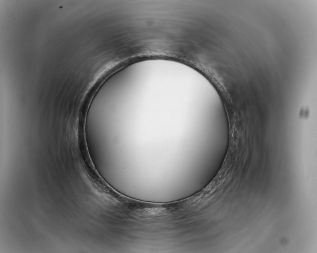 X0000099230108200805081607