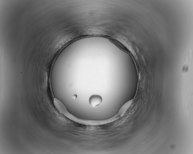 X0000099230109200805081607