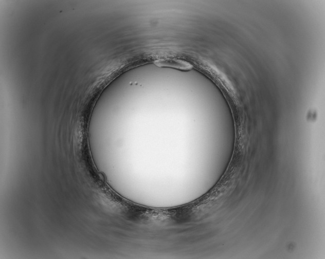 X0000099230113200805081607