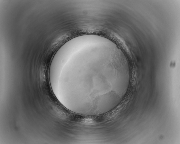 X0000099230114200805081606