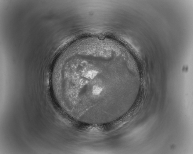 X0000099230115200805081606