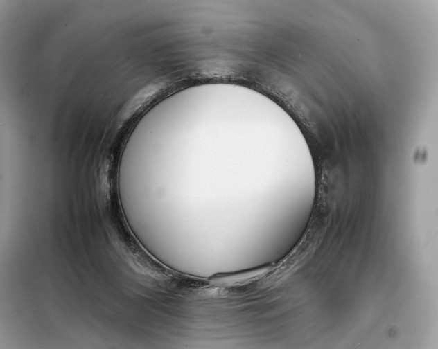 X0000099230116200805081606