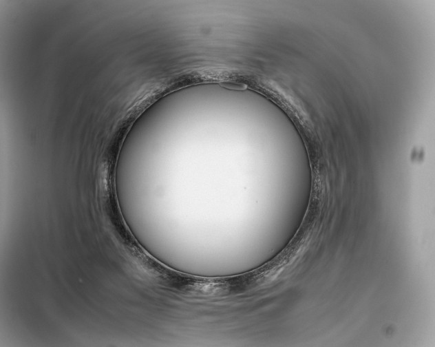 X0000099230117200805081606