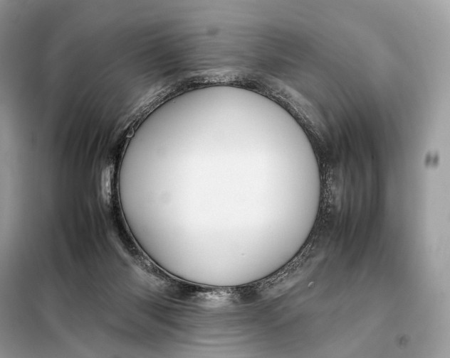 X0000099230118200805081606