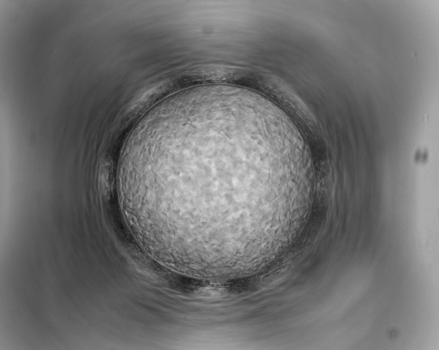 X0000099230119200805081606