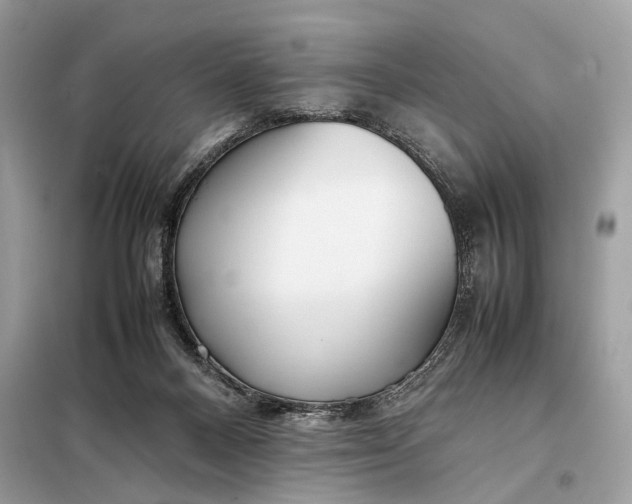 X0000099230120200805081606