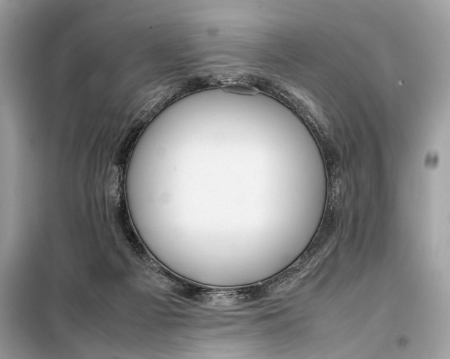 X0000099230121200805081606