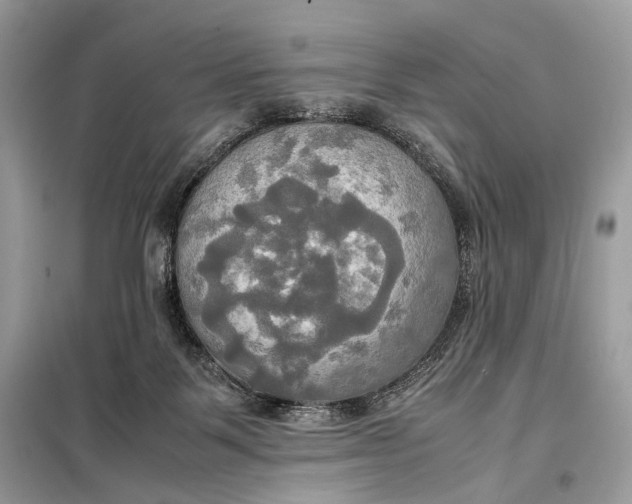 X0000099230123200805081606