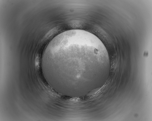 X0000099230124200805081606