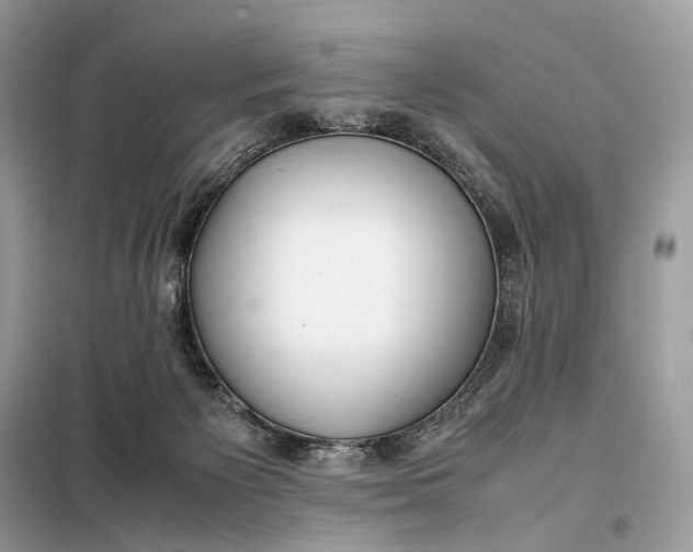 X0000099230125200805081606