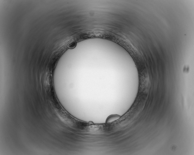 X0000099230126200805081606