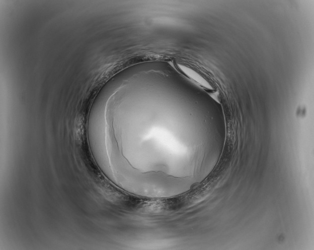 X0000099230127200805081606