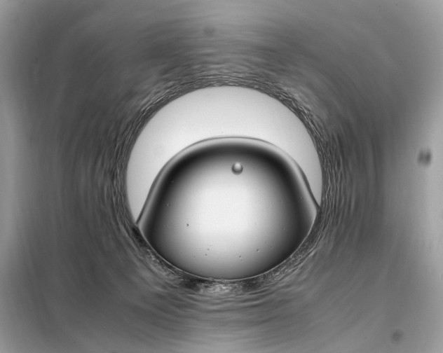 X0000099230129200805081606