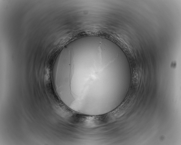 X0000099230130200805081606