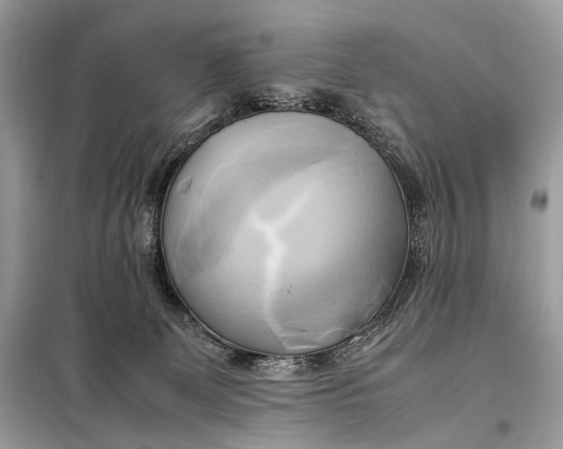 X0000099230131200805081606