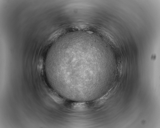 X0000099230132200805081606